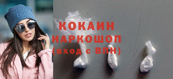 твердый Тайга
