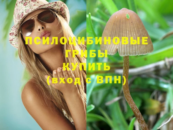 COCAINE Заводоуковск