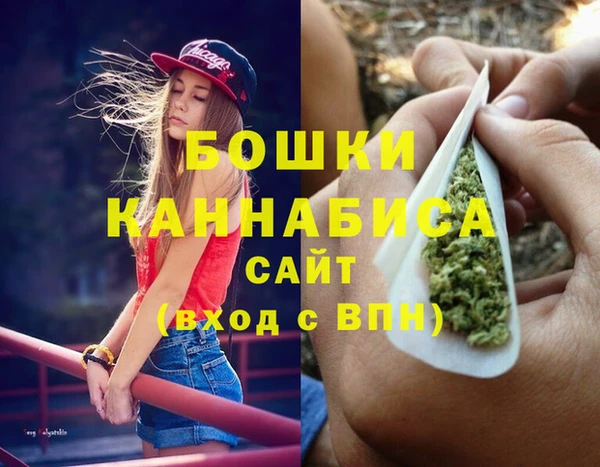 твердый Тайга