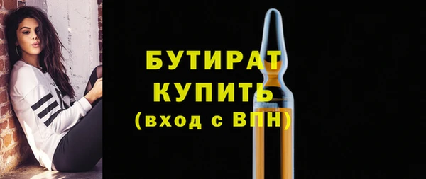 твердый Тайга