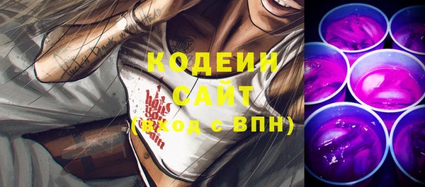 шишки Заволжск